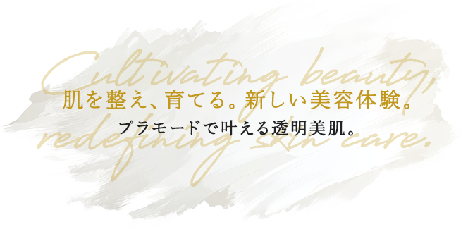 韓国肌管理-bitmuse salon- rE:S（リズ）